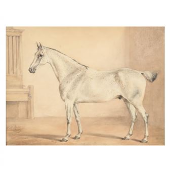 Dappled Grey Hunter In Stable - William Davis
