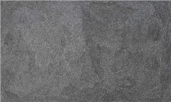 'Bush Seeds' - Sabrina Daniel