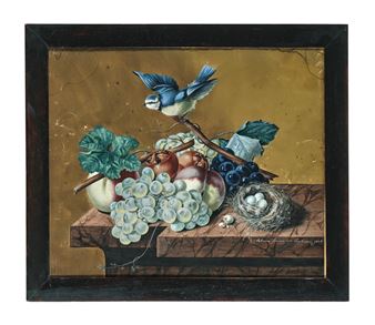 Stillleben mit Trauben und Blaumeise - Johann Baron von Prochaska