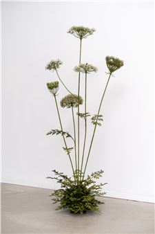 A Time For New Dreams at Dvir Gallery