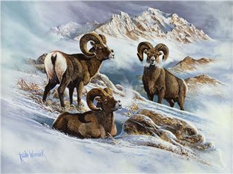 Keith Warrick (20th/21st century), Untitled (Rams on Snowy Mountain - Keith Warrick