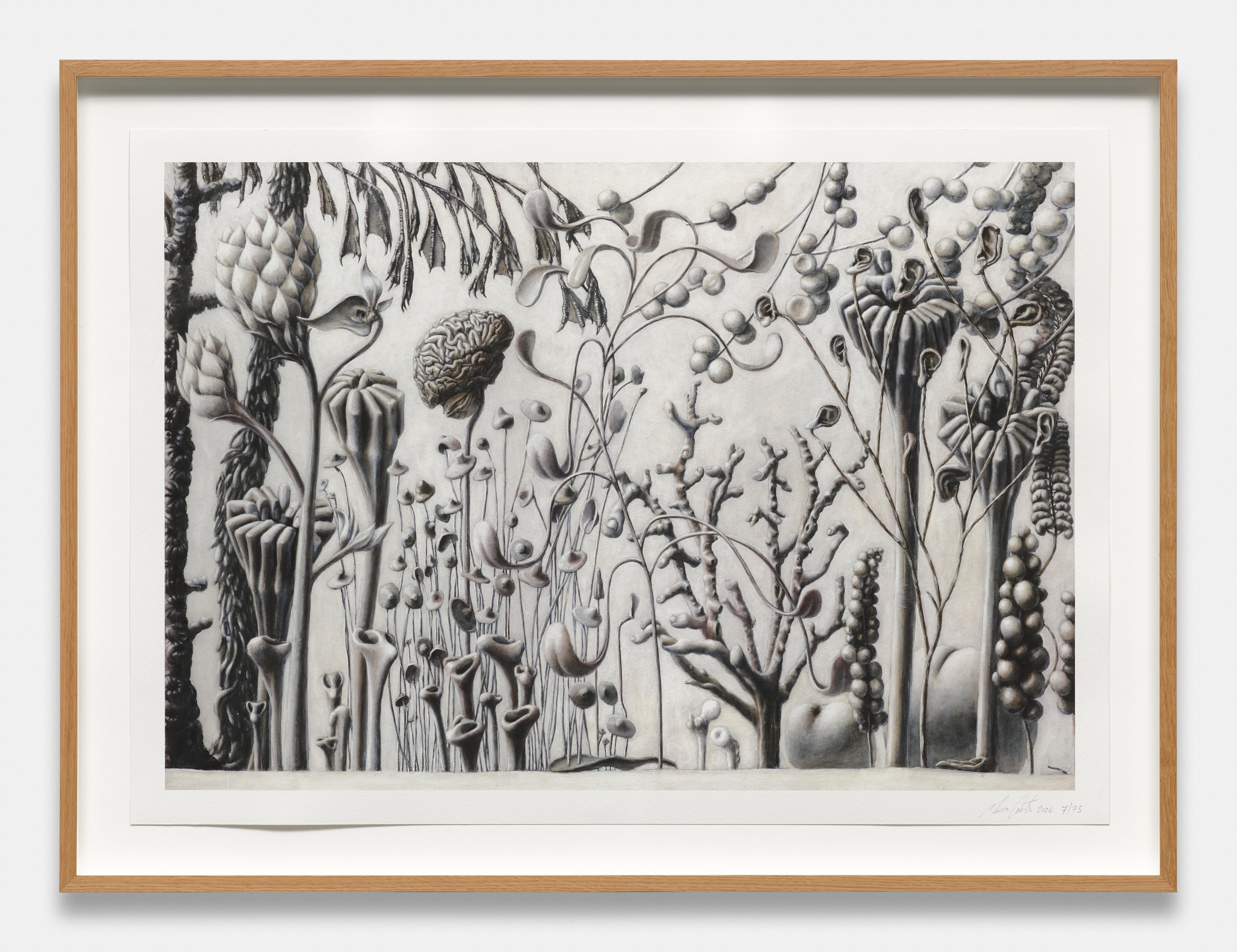 Artwork by Marcus Coates, Between Stories
2024, Made of archival giclee print