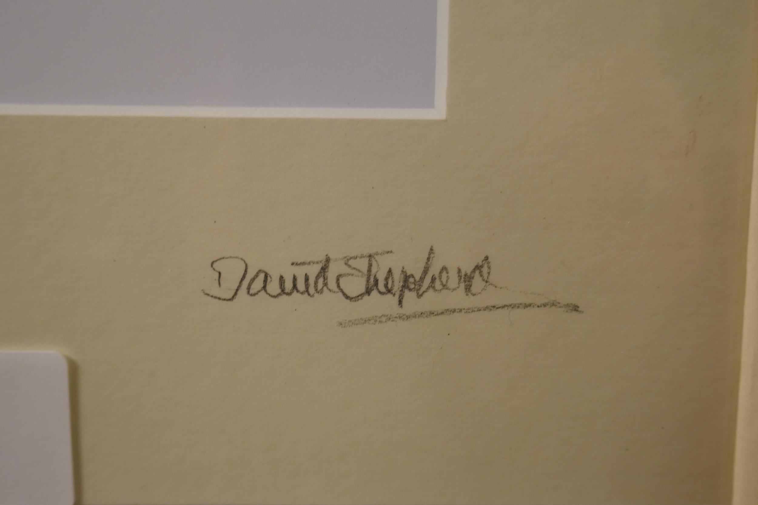 David Shepherd | Signed David Shepherd print | MutualArt