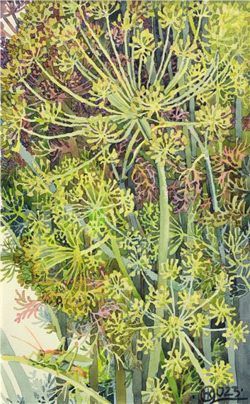 Dill", 2023 - Nataliya Kohal