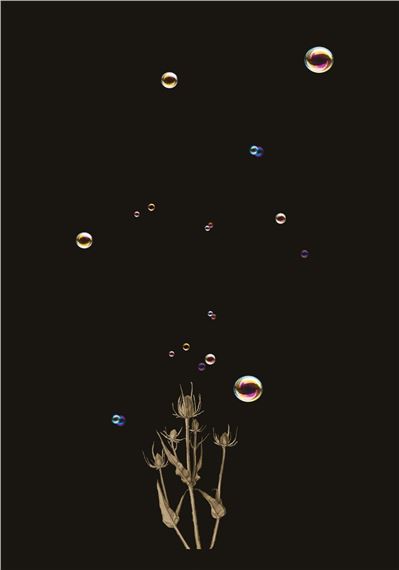 Jean-François Courtilat: Translations - Galerie RDV