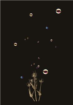 Jean-François Courtilat: Translations - Galerie RDV