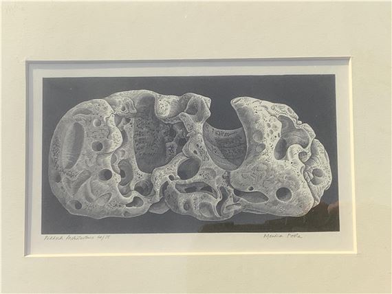 ‘Piddock Architecture’ by Monica Poole