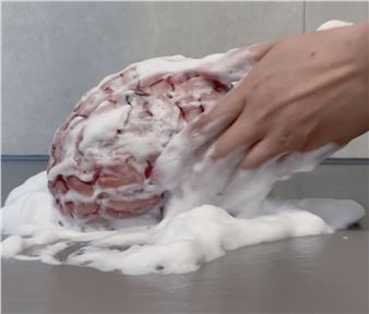 Madeleine Andersson: Degenerative Knowledge Production - Overgaden - Institut for Samtidskunst