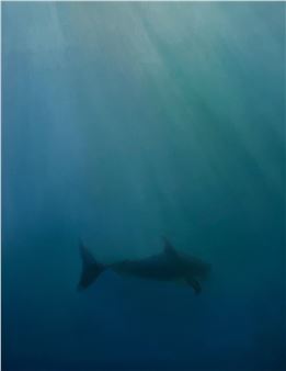 Naho Taruishi: Euphotic - Planthouse