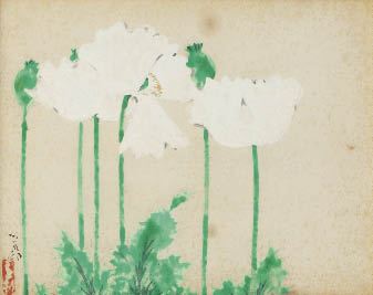 Poppy by Seison Maeda