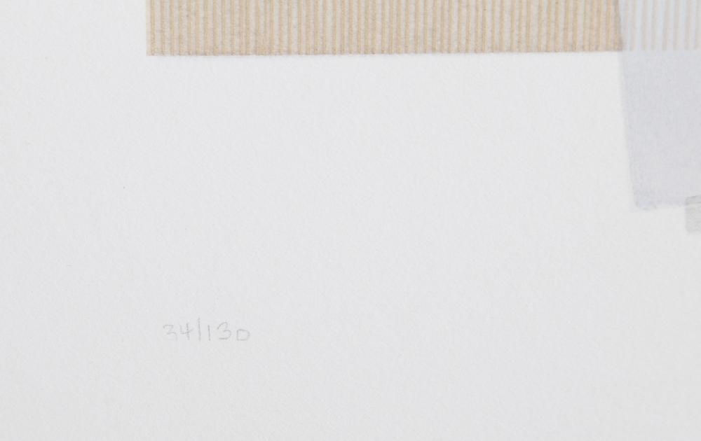 Artwork by Natalie Dymnicky, UNTITLED - PAPERS, Made of PAPERS, SCREENPRINT