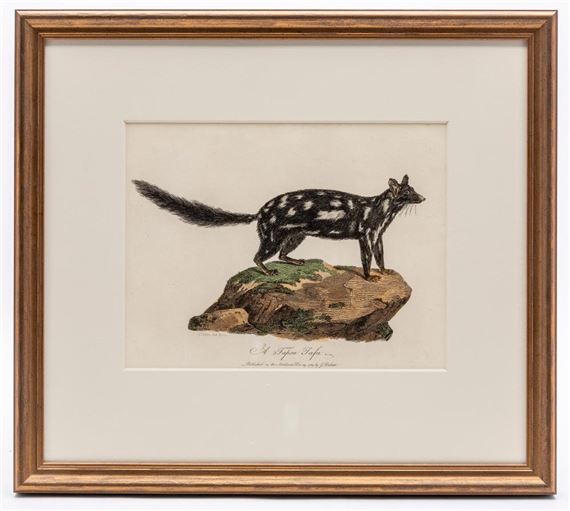 Charles Catton Jnr | 1 Artworks | MutualArt
