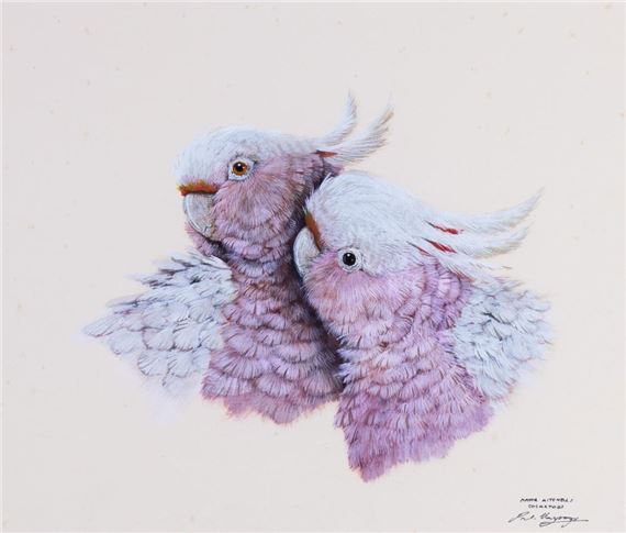 Paul Margocsy | Major Mitchells Cockatoos 1999 (1999) | MutualArt