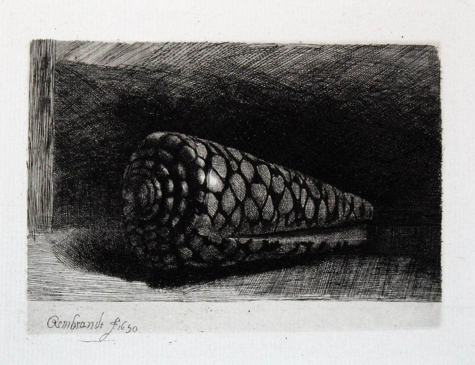 Rembrandt van Rijn | Rembrandt van Rijn (after) - The Shell (1883 ...