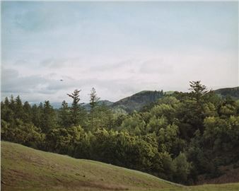 Trevor Paglen: Cardinals - Altman Siegel