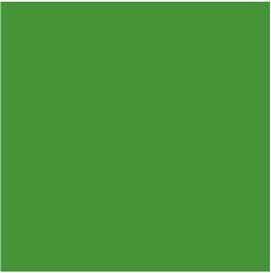 Opening in Paris, Saturday September 7th: Group show Green is the color, Michel Rein, Paris