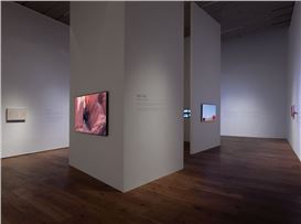 Kang Chunhui's Homage to Living Landscapes