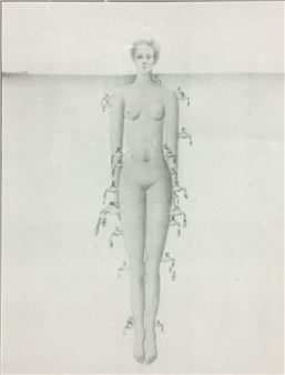 Frederique Court - Untitled - Frederique Court