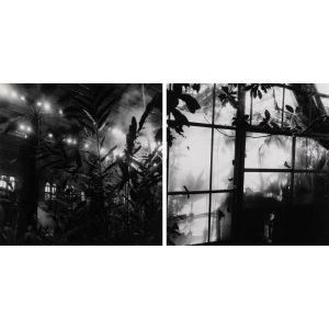 1. Untitled (botanical gardens)／2. Untitled (Nagoya - Chie Yasuda