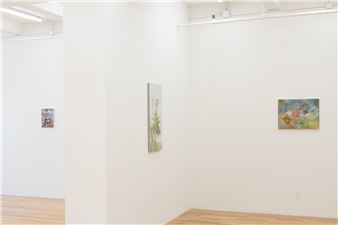 In flames - Paul Soto, New York