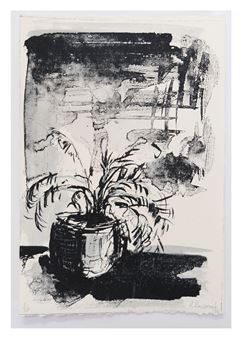 PLANT STUDIES - BEDROOM SHADOWS (2022) - Roxy Kaczmarek