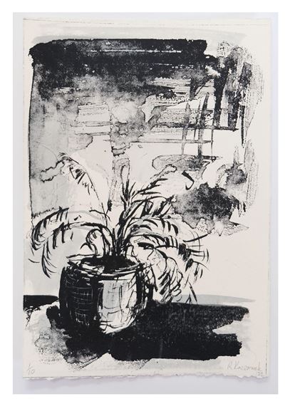 PLANT STUDIES - BEDROOM SHADOWS (2022)