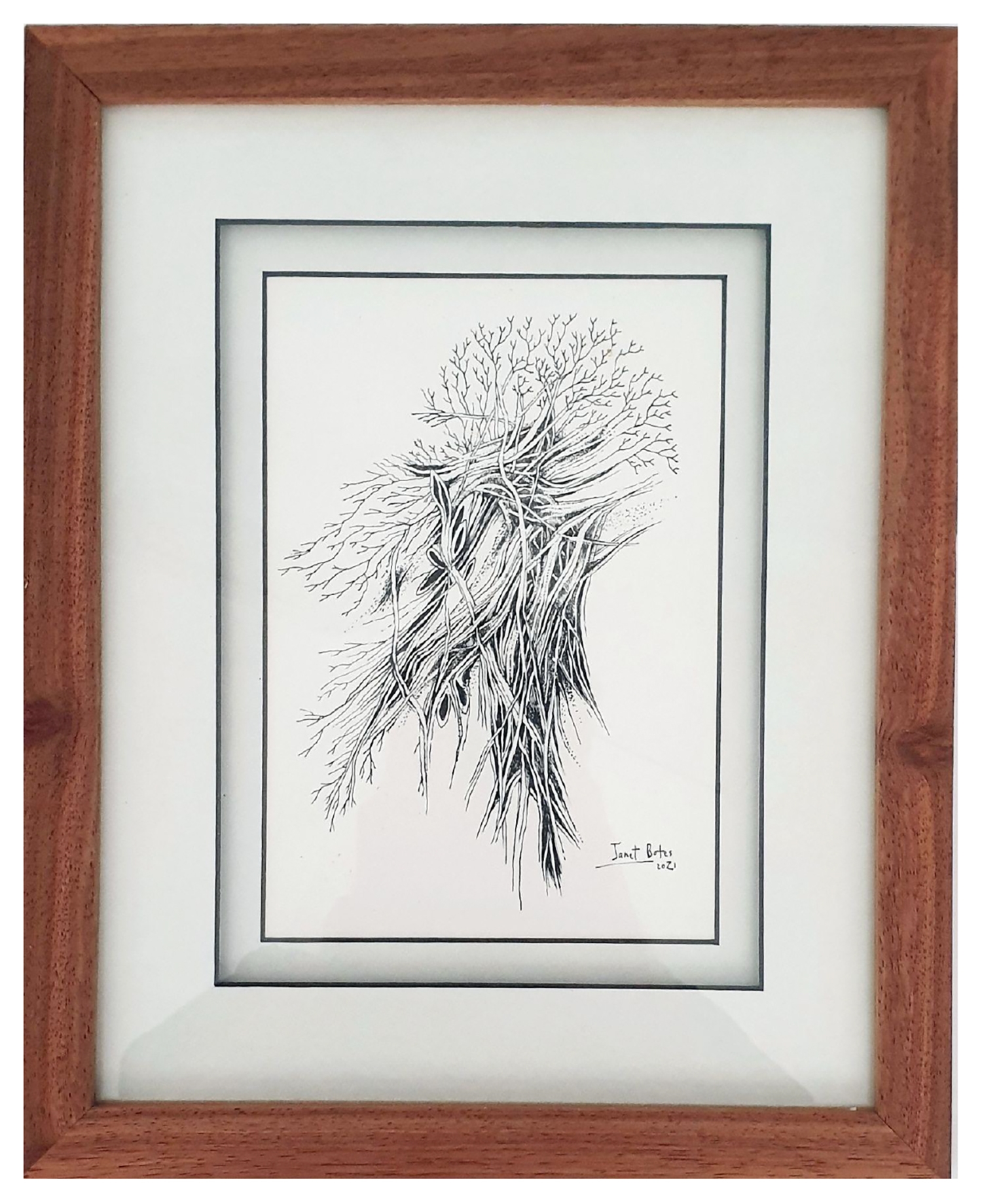 Artwork by Janet Botes, ENTWINED (2021), Made of ink on paper