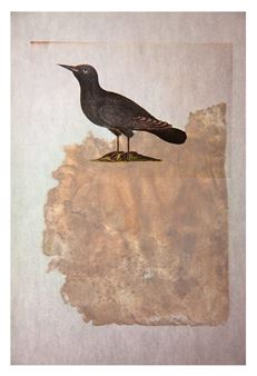 THE END (2020) - Lien Botha