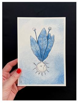 SUN ROOT (2023) - Nina Torr