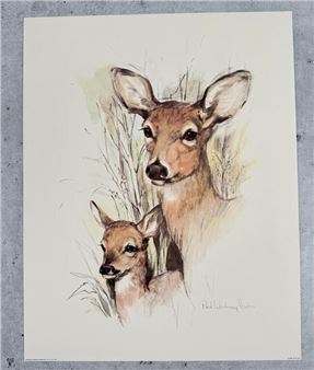 Paul Whitney Hunter Deer Print - Paul Whitney Hunter