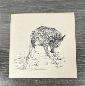 Jeanne Goucie Baby Deer Print - Jeanne Goucie