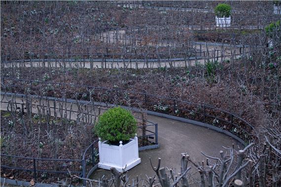 Iida Pii: Observations on the Order of Things - Photographic Gallery Hippolyte