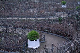 Iida Pii: Observations on the Order of Things - Photographic Gallery Hippolyte