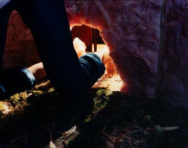 Huckleberry by Deborah Mesa-Pelly, 1999