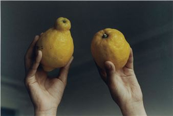 Katinka Bock & Michael Schmidt - Zander Galerie, Cologne