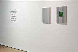 Review: “Anthology” at David Shelton Gallery, Houston