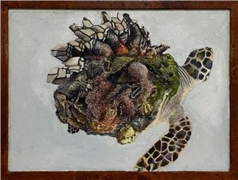 BARNACLED TURTLE - Gavin Coates