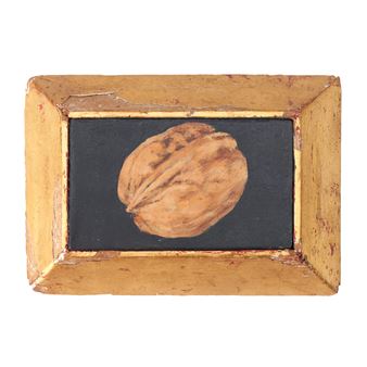 Walnut - Sally Haley