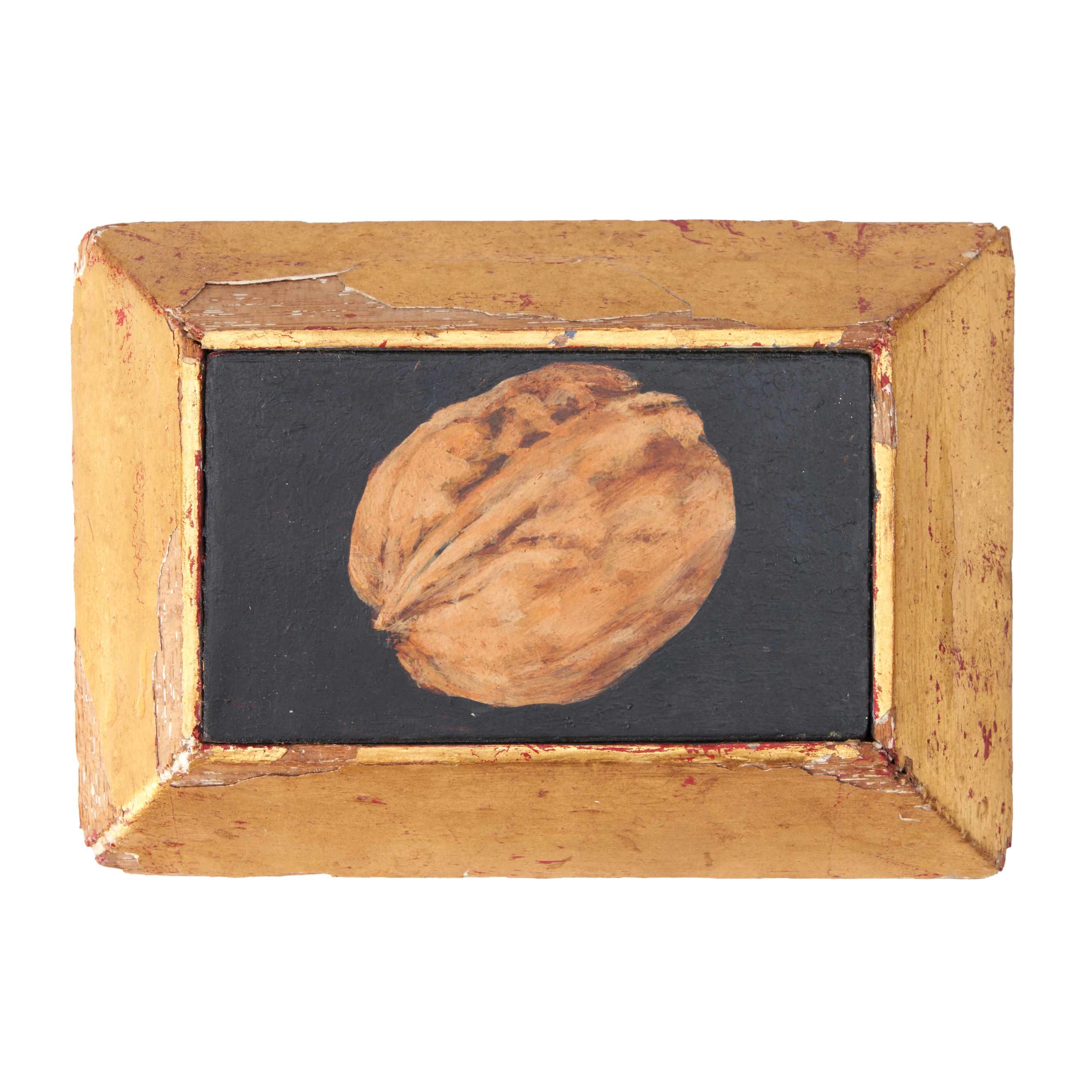 Artwork by Sally Haley, Walnut, Made of oil on board