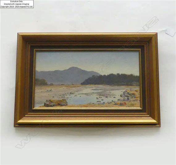 THE BLUFF, WAIHO RUN SOUTH WESTLAND by Ethel Richardson