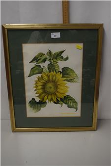 Hugh Chegwidden - Hugh Chegwidden