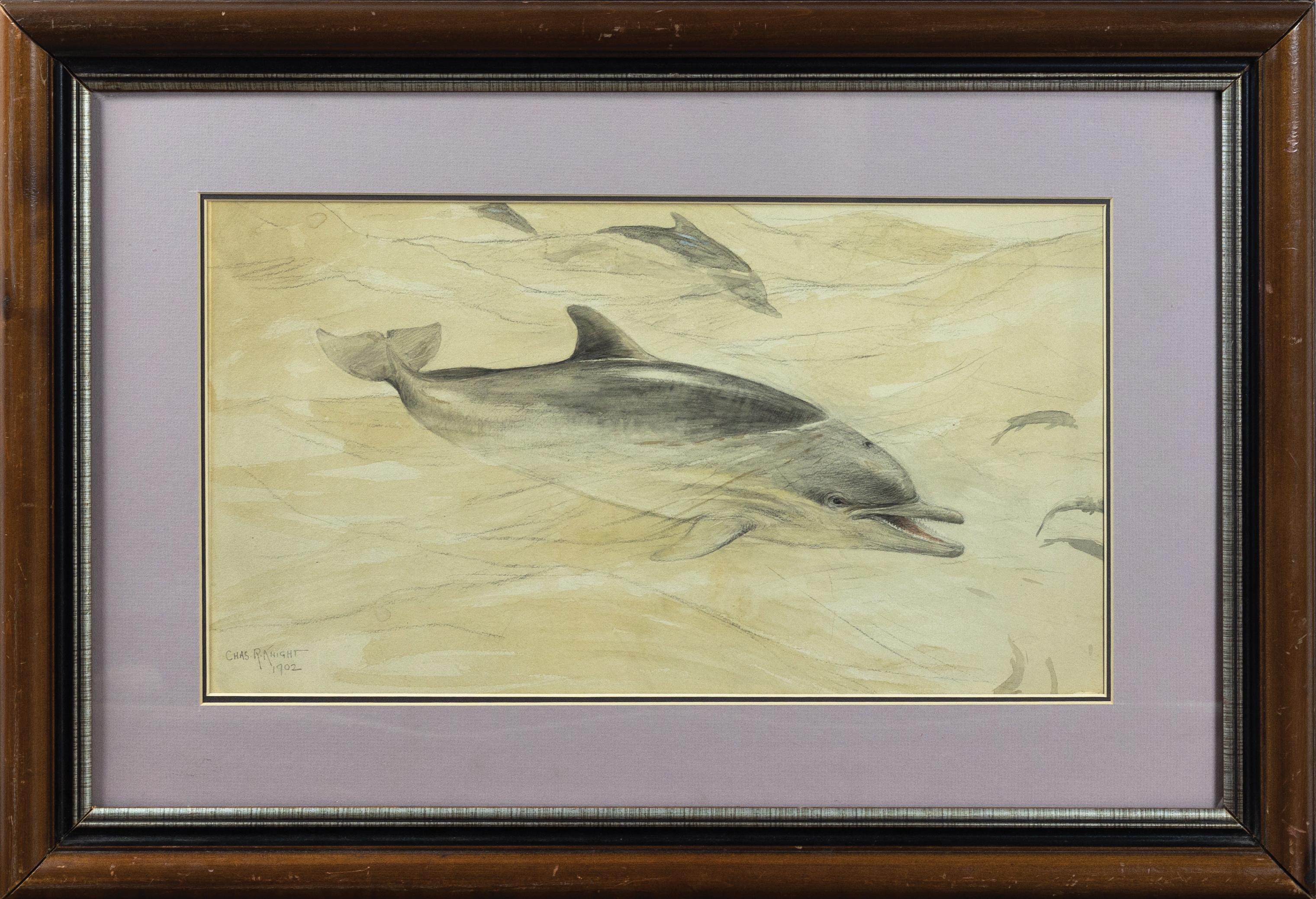 Charles R. Knight | Charles R. Knight Drawing, Swimming Dolphin | MutualArt
