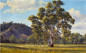 Evening Sunshine, Gundagai - Murray Bishop