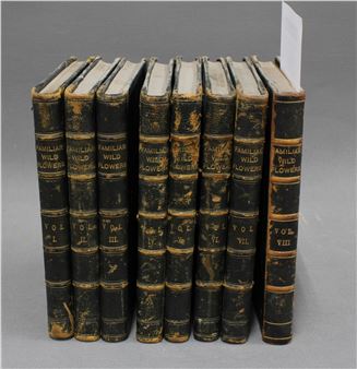 Familiar Wild Flowers - F. Edward