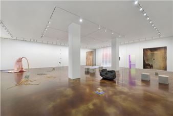 Michael Joo: Soft Skills and Underground Whispers - Kukje Gallery, Seoul