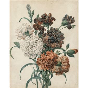 Nelken - Dirck van Poelenburg