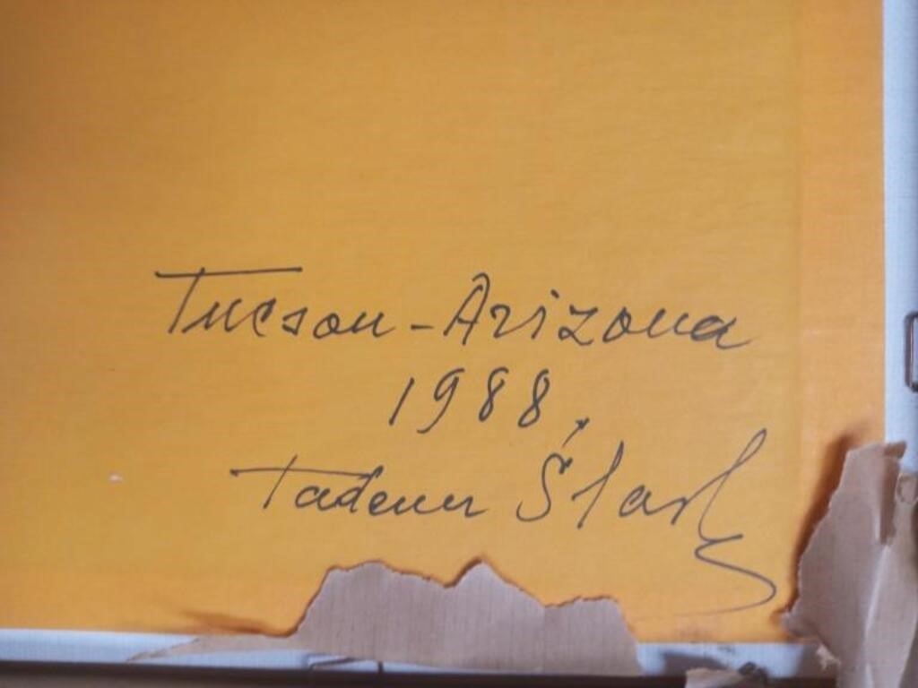 Artwork by Tadeusz Slaski, Tadeusz Slaski, Tucson Az Desert Landscape, Oil, Made of Oil on Canvas Board