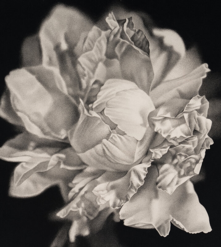 Joseph Stashkevetch | Bloom #2 (2003) | MutualArt