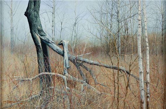 Charles Pitcher  Laurel Wilderness by Charles Pitcher, 1981