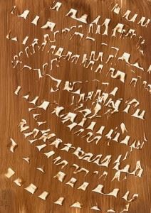 Légiesen 2019 - Gábor Komor